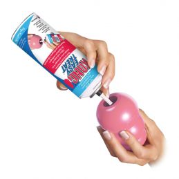 Jouet Kong Puppy KONG 035585131214 Jouets Kong