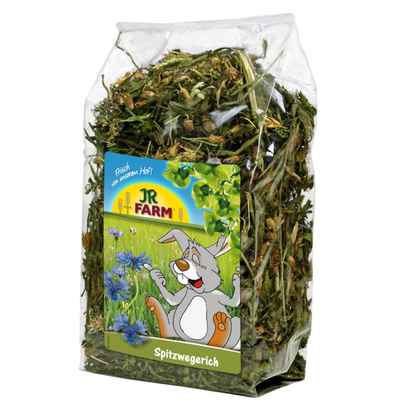 JR Farm Plantain lancéolé JR FARM 4024344071034 Friandise & Complément