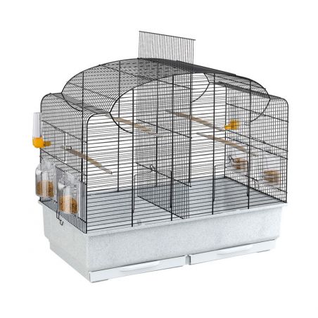 CAGE CANTO NOIRE