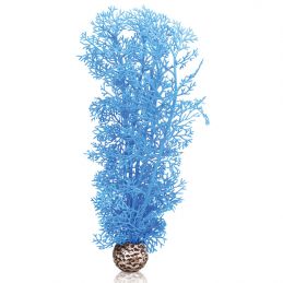 Oase Corail bleu OASE  Plantes