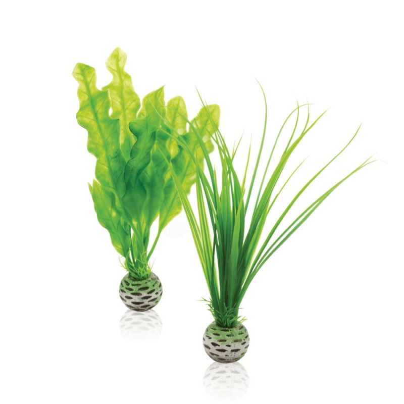 Oase Set plantes vertes OASE  Plantes