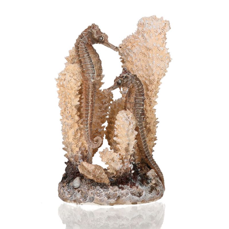 Décor hippocampes sur corail Oase OASE 822728550380 Décors