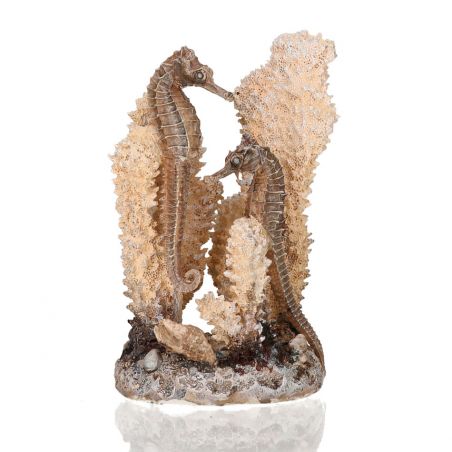 Décor hippocampes sur corail Oase