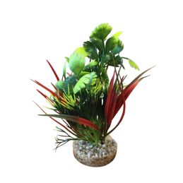 Plantes AquaPlants Sydeco  3502733801543 Plantes
