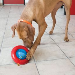 Jouet Gyro  KONG 03558503418 Jouets Kong