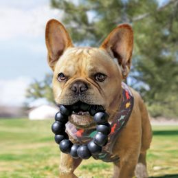 Anneau Extreme Ring KONG 035585356402 Jouets Kong