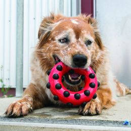 Anneau Dotz circle KONG 035585401034 Jouets Kong