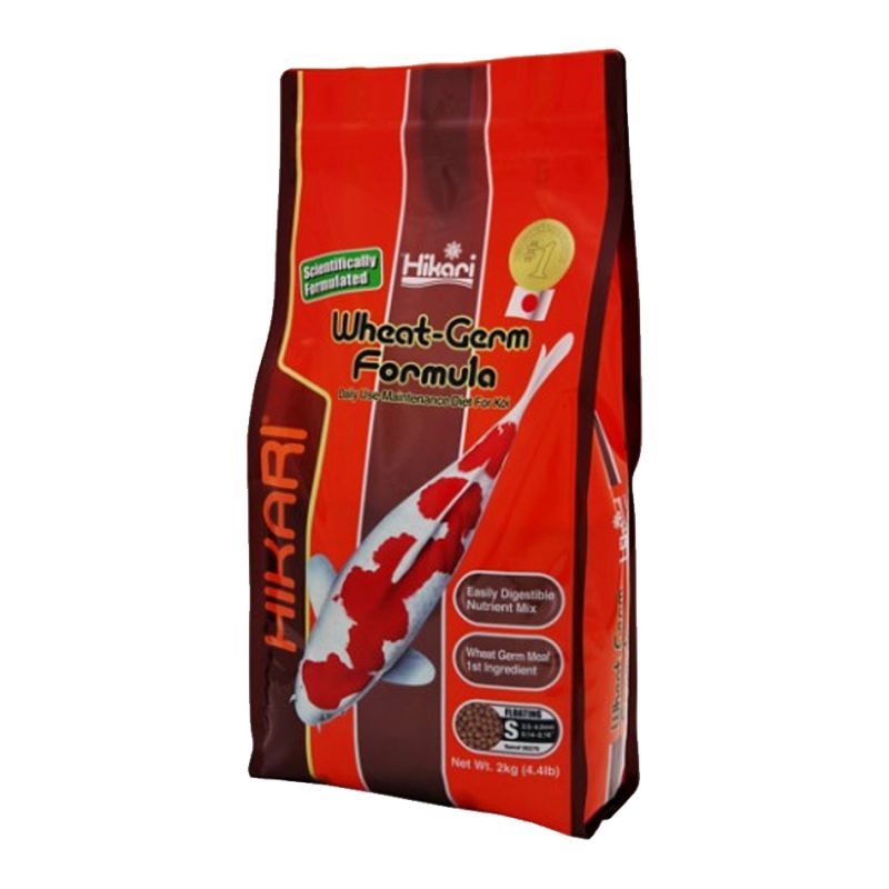 Hikari Wheat-germ mini HIKARI 042055062701 Alimentation