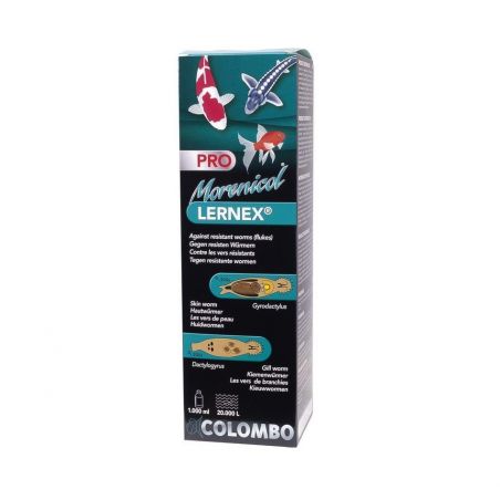 Colombo Morenicol Lernex
