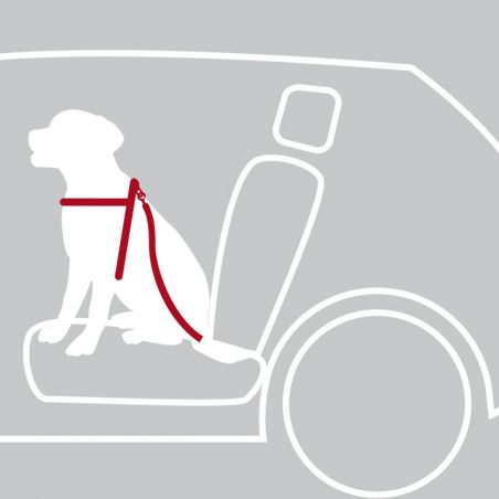 Ceinture de sécurité XS-S 30-45 cm/20 mm pour harnais de voiture pour