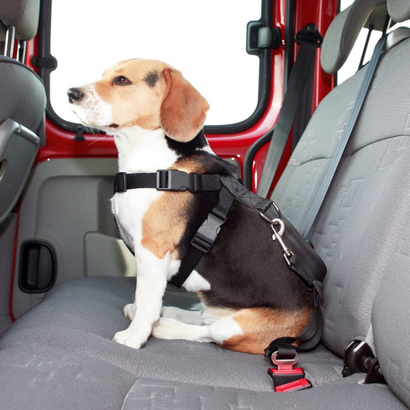 Harnais De Sécurité Voiture Pour Chien Karlie - Taille XS (25-40 Cm), 2 En 1 Harnais Et Laisse