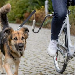 Biker-Set grand chien  TRIXIE 4011905128603 Accessoires pour voiture et vélo