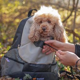 Sac à dos Kangoo pour chien  FERPLAST 8010690175324 Transport