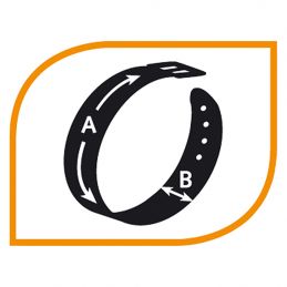 Collier Daytona C noir FERPLAST  Laisses