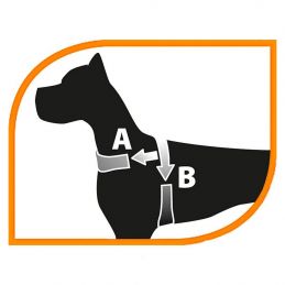 Harnais Daytona P noir FERPLAST  Harnais