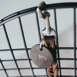 Laisse d'éducation canin cuir marron HUNTER  Laisses