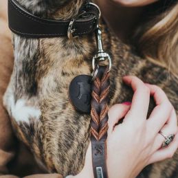 Laisse d'éducation canin cuir marron HUNTER  Laisses