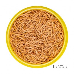 JBL ProNovo Red Insect Stick S - 100 ml JBL 4014162311818 Alimentation