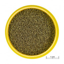 JBL ProNovo Danio-Grano XS-100 ml JBL 4014162311511 Alimentation