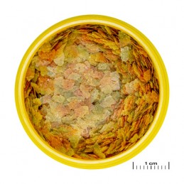 JBL ProNovo Betta Flakes S - 100 ml JBL 4014162313058 Alimentation