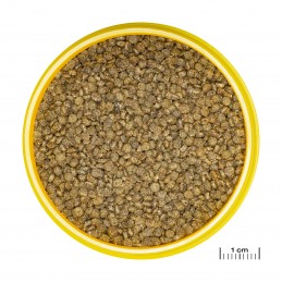 JBL ProNovo Gourami Grano S 250 ml JBL 4014162313096 Alimentation