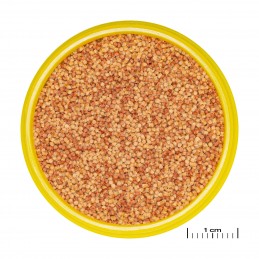 JBL Pronovo Color Grano S - 100 ml JBL 4014162311412 Exotiques