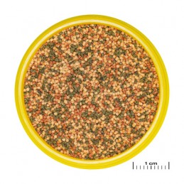 JBL Pronovo Bel Grano S JBL  Accueil