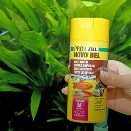 JBL ProNovo BEL Grano M 250 ml - Click JBL 4014162311214 Accueil