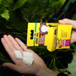 JBL ProNovo Bel Weekend JBL 4014162311283 Exotiques