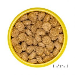 JBL ProNovo Crabs Wafer M - 100 ml JBL 4014162315656 Exotiques