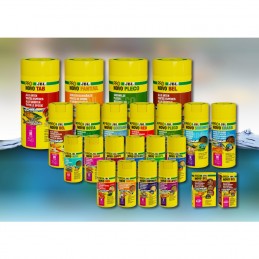 JBL ProNovo BEL Holiday Block JBL 4014162311290 Accueil