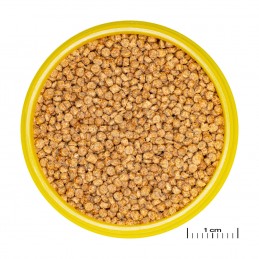 JBL ProNovo Cichlid Grano S - click JBL  Cichlidés