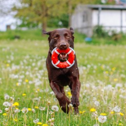 Bouée de sauvetage Flottant 15 cm – Nobby NOBBY 4033766615207 Jeux d'extérieur