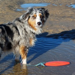 Planche de sauvetage Flottant avec corde 26 cm – Nobby NOBBY 4033766615214 Jeux d'extérieur