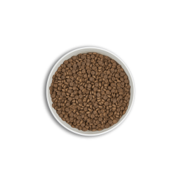 Croquettes ERA Millénium ADULTES Petites Races – Saumon & Hareng ERA  Croquettes ERA Millénium