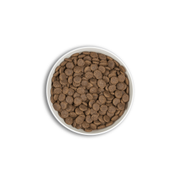 Croquettes ERA Millénium ADULTES Moyennes et Grandes Races – Canard & Agneau ERA  Croquettes ERA Millénium