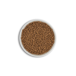 Croquettes ERA Millénium ADULTES Moyennes et Grandes Races – Poulet & Faisan ERA  Croquettes ERA Millénium