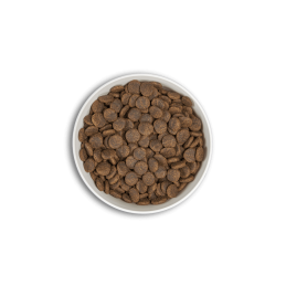 Croquettes ERA Millénium ADULTES Moyennes et Grandes Races – Saumon & Hareng ERA  Croquettes ERA Millénium