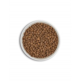 Croquettes ERA Natural CHAT Adulte - Hypoallergénique ERA  Croquettes ERA Centurion Natural
