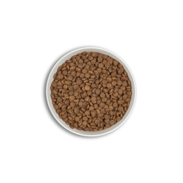 Croquettes ERA Centurion Natural CHAT Adulte - Digestion Sensible ERA  Croquettes ERA Centurion Natural