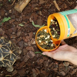 JBL ProTerra Fructil JBL  Alimentation reptiles et amphibiens
