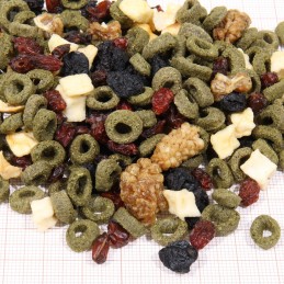 JBL ProTerra Fructil JBL  Alimentation reptiles et amphibiens