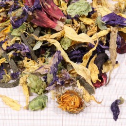 JBL ProTerra Florsil JBL  Alimentation reptiles et amphibiens