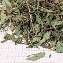 JBL ProTerra Herbil JBL  Alimentation reptiles et amphibiens