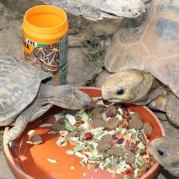 JBL ProTerra Vegabil JBL  Alimentation reptiles et amphibiens