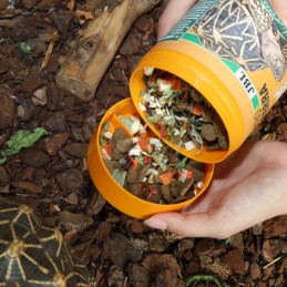 JBL ProTerra Vegabil JBL  Alimentation reptiles et amphibiens