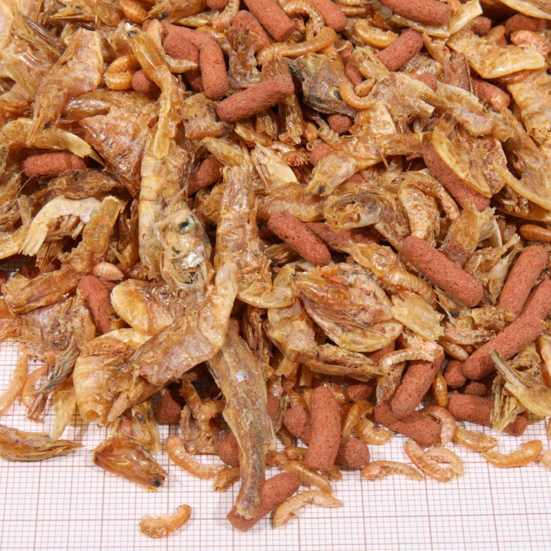 JBL ProTerra Crustarus JBL  Alimentation reptiles et amphibiens