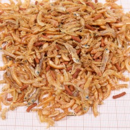 JBL ProTerra Baby JBL 4014162723512 Alimentation reptiles et amphibiens