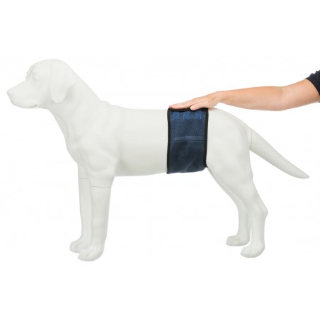 Bande de Protection ventrale lavable pour chiens mâles – Trixie