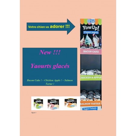 YOW UP ! Yaourt glacé pour chien, parfum au choix